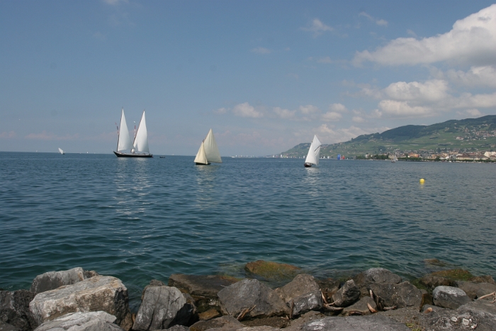 Regate Vieux Bateaux - 195 - 2008